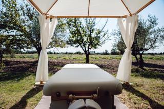 Les Champs de Provence - La Baume-de-Transit - 6