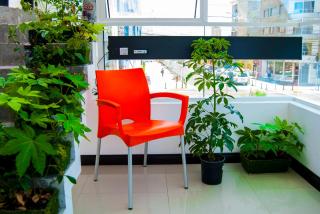 Hostal Lecher - 2