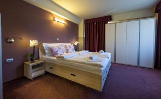 Eden Grand Resort - Predeal - 5