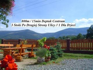 Gorski Widok Karpacz Apartamenty i Pokoje- Salon Kominkowy - Karpacz - 2