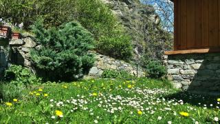 Il Rifugio della Volpe - Introd - 6