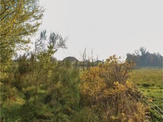 Two-Bedroom Holiday Home In Grasted - Græsted - 4
