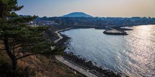 White dream Pension - Jeju - 2