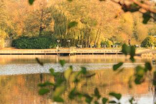 Inn On The Lake - Gravesend - 5