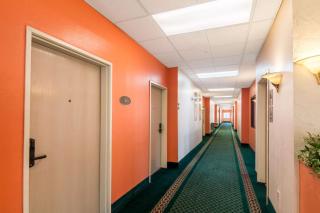 Motel 6-Oklahoma City, OK - Oklahoma City - 3