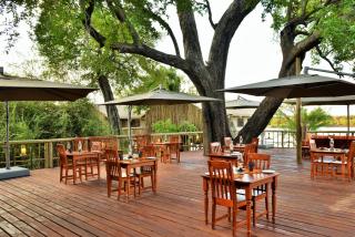 Jackalberry Chobe - 1