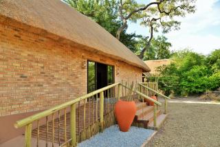 Jackalberry Chobe - 3