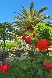 Othonas Apartments - Sidari - 3