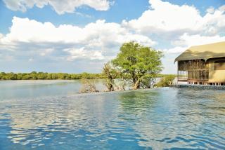Jackalberry Chobe - 4