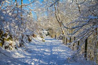 Hotel Schneider - Winterberg - 8