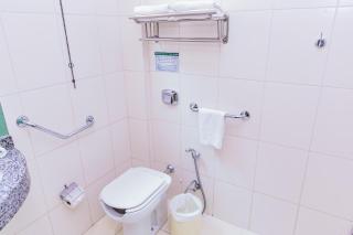 Amazônia Palace Hotel - 8