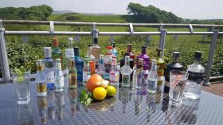 Lutwidge Arms - Holmrook - 2