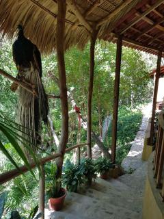 El Eden Bungalows - Mazunte - 2