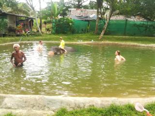 Mae Pon Hostel - Khao Lak - 3