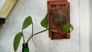 Adams Wood House Ayurveda Homestay Kochi - Cochin - 0