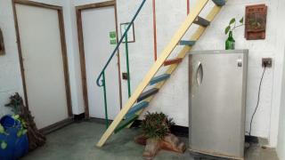 Adams Wood House Ayurveda Homestay Kochi - Cochin - 3