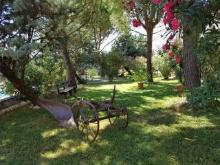 Agriturismo La Ginestrella - Civitella D'Arna - 6