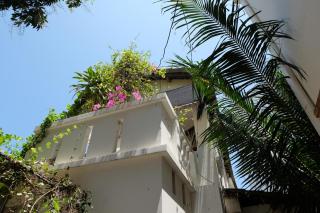 Moon house tropical garden - Lavender - Nha Trang - 7
