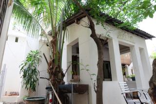 Moon house tropical garden - Valentine - 5
