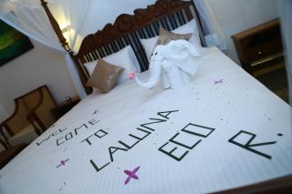 Laluna Eco Resort Pvt Ltd - 2