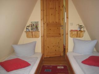 Finnhütte Wittenbecker Tannen - Möwe - Wittenbeck - 6