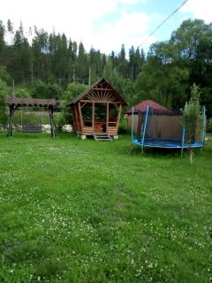 Едельвейс - 3