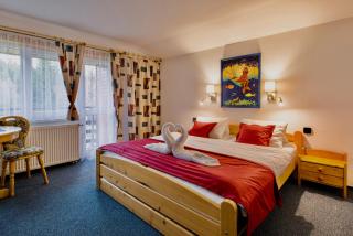 Chalet Schäfer s vyhřívaným bazénem se slanou vodou a saunou - 1