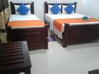Habarana Dulwan Guest House - 4