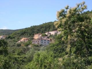 B&B Nelly G - 2