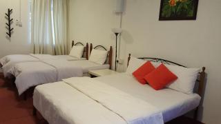 Kurau Inn Boutique Farmstay - Kuala Kurau - 6