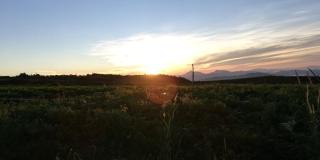 Wind Valley Farmstay - Kundasang - 4