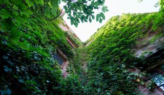 El Jardín Vertical - Vilafamés - 5