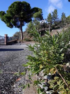 La Madonetta - Dimora d'epoca - - Levanto - 6