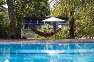 Papaya Hikkaduwa - 9