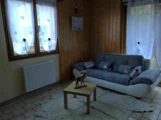 Chalet les Lurins - Villarlurin - 5