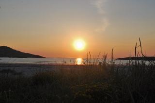 The Wonderly Wagon - 1