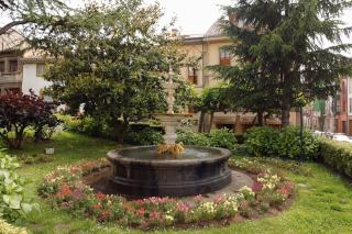 Hotel Restaurante El Manquin - Villaviciosa - 8