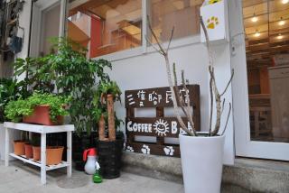 3 Feet Cat - Nangan - 9