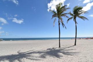 Stylish 1BR Walk to the Beach 1 - Hollywood - 3