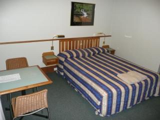 Hermitage Motel - Muswellbrook - 4