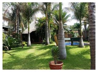 Lala Bela Guest House - Bela-Bela - 5