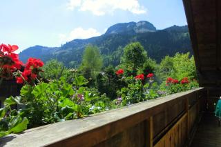 Haus Wippler - Bad Hindelang - 8