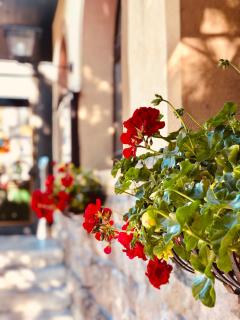 Landhotel Traube - Baden-Baden - 7