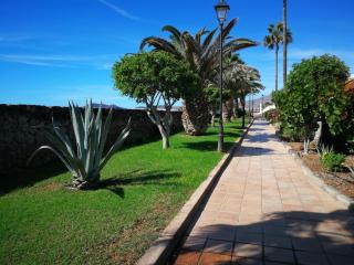 Rocas del Mar Apartment - Costa Del Silencio - 1