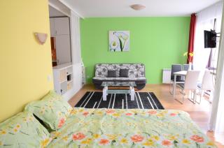 TES Flora Apartments - Borovets - 8