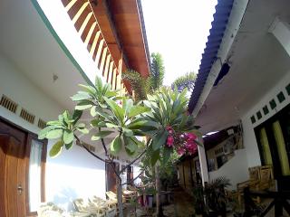 Ombak Homestay - Gili Trawangan - 5