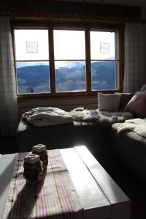 Arnika Montana - Brigels - 1