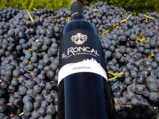 Il Roncal Wine Resort - for Wine Lovers - 5