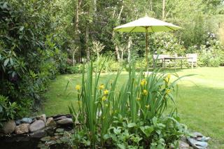 B&B Het Brembos - Wingene - 5