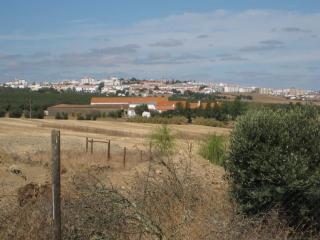 Monte das Beatas - Alojamento Local - Beja - 6
